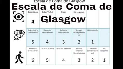 Escala de Glasgow Evaluación neurológica y puntuación de conciencia