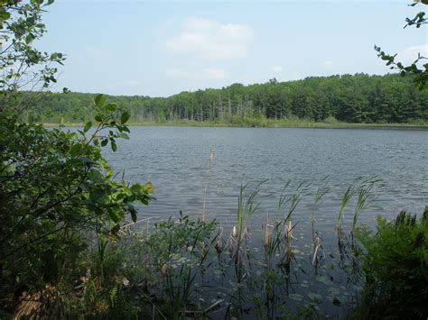 Huron Manistee National Forest - Newaygo County Exploring