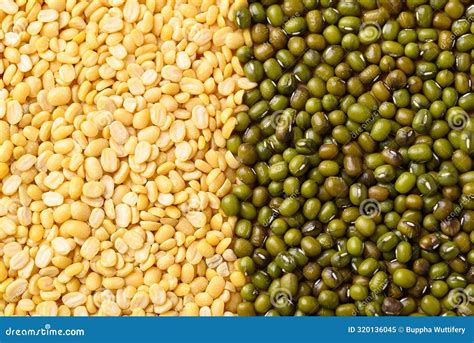 yellow peeled split mung bean  green mung bean seed stock image
