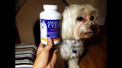 Dog Product Review Angel Eyes Week 2 For Tear Staining Youtube