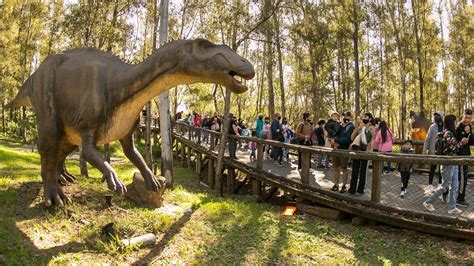 Argentina Es Tierra De Dinosaurios