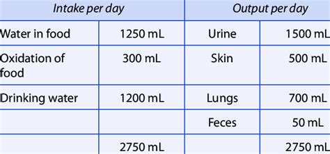 1: Water balance in the body | Download Table