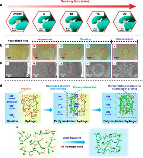 Mechanism of the microcrystalline structure-forming process of ...