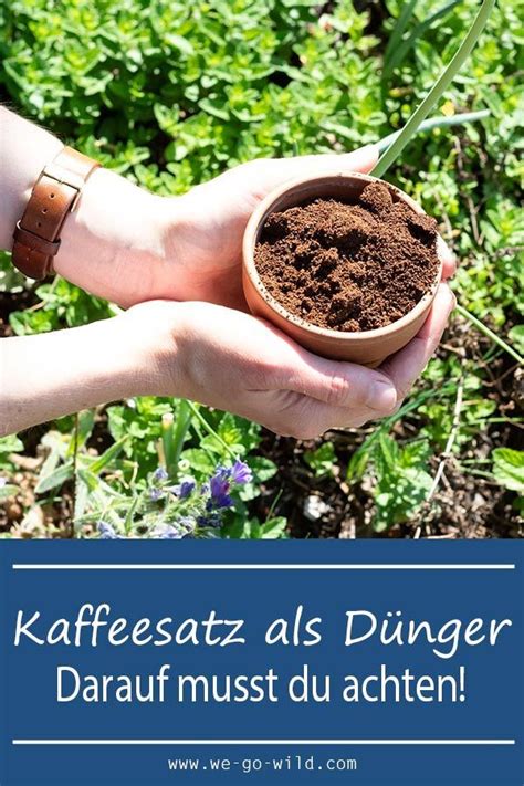 Kaffeesatz als Dünger für Garten und Topfpflanzen WE GO WILD