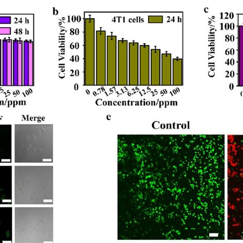 In Vivo Mri Performance And Cdt Ability Of Cusgd Nps A T 1 Weighted