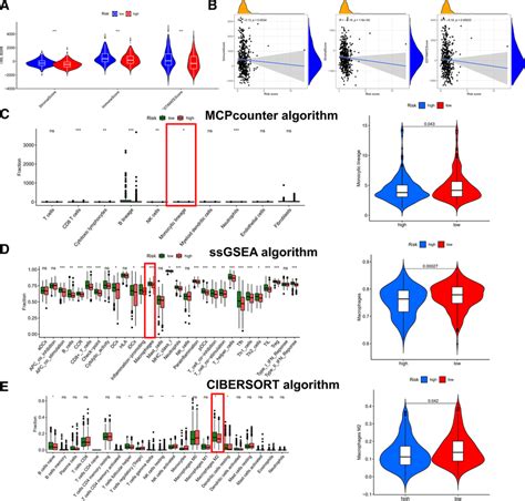 Use MCP Counter SsGSEA And CIBERSORT Algorithms For Exploring Immune