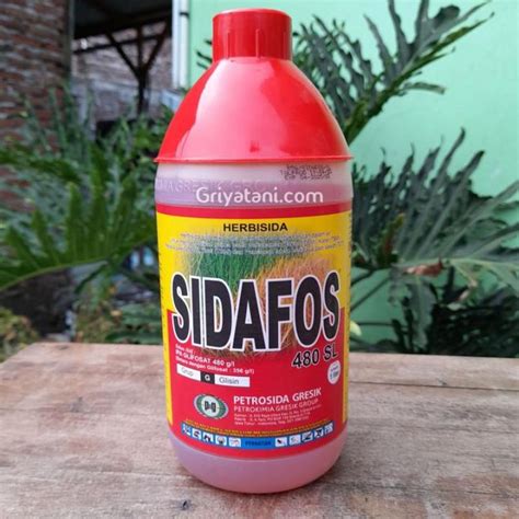 Herbisida Sidafos 480sl 1 Liter Glifosat Pembasmi Rumput Lazada Indonesia