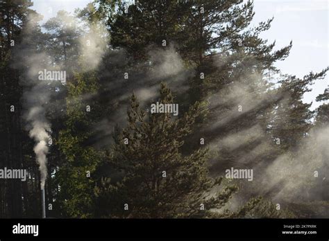 Beautiful Landscape Sun Rays Shine Through Trees Stock Photo Alamy