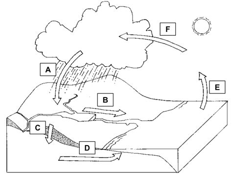 Water Cycle Diagram Labeling Diagram Quizlet