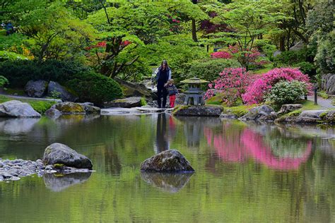 Spring — Seattle Japanese Garden