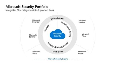 Microsoft Cloud Security Fortifying Data Networks