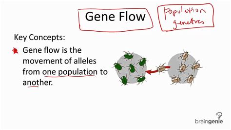 Allele Frequency Definition