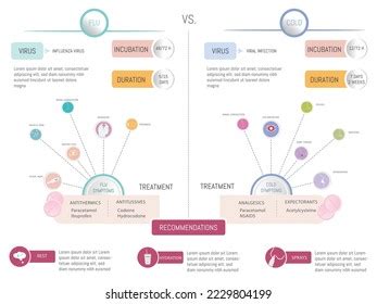 Infographic Comparison Flu Vs Cold Symptom Stock Vector (Royalty Free ...