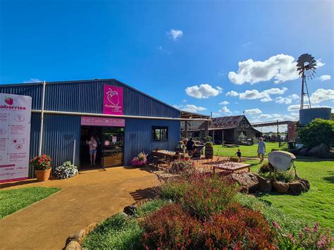 bundaberg captured travel