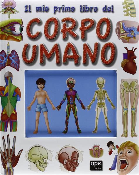 Amazon It Il Mio Primo Libro Del Corpo Umano Ediz Illustrata Libri