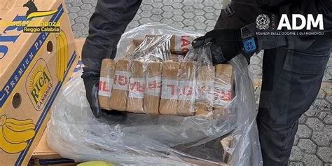 Sequestrati Chilogrammi Di Cocaina Droga Nascosta In Un Container