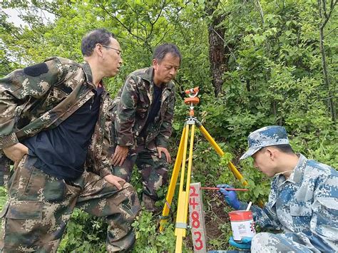 市桥山国有林管理局 全面完成2024年林草湿荒样地调查工作 关注森林