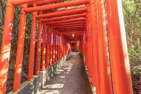 赤い鳥居が連なる全国の絶景神社7選！千本鳥居など美しい景色を楽しもう｜zekkei Japan