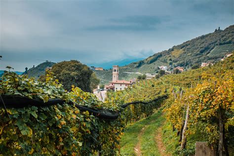 The Golden Land Of Prosecco Wine And Valley Hikes Hiking And Drinking