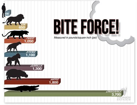 168 best Bite Force images on Pholder | Battlebots, Awwducational and ...