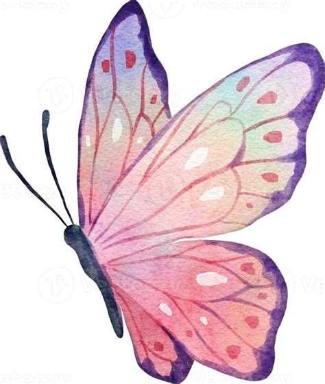 Pin by Lourdes on Mariposas y Libélulas Butterfly art painting