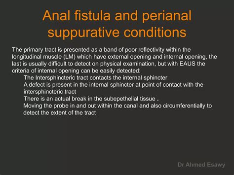 Anal Perianal Imaging Part Perianal Fistula CT MRI Dr Ahmed Esawy PDF