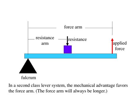 PPT - Lever Systems PowerPoint Presentation - ID:174578