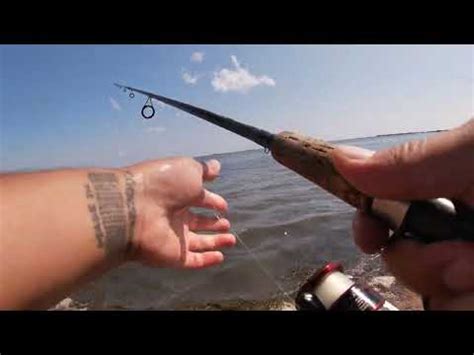 Fishing With Live SHRIMP In Corpus Christi TX YouTube