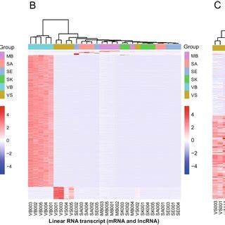 Integrative LncRNA CircRNA And MRNA Analysis Reveals Expression