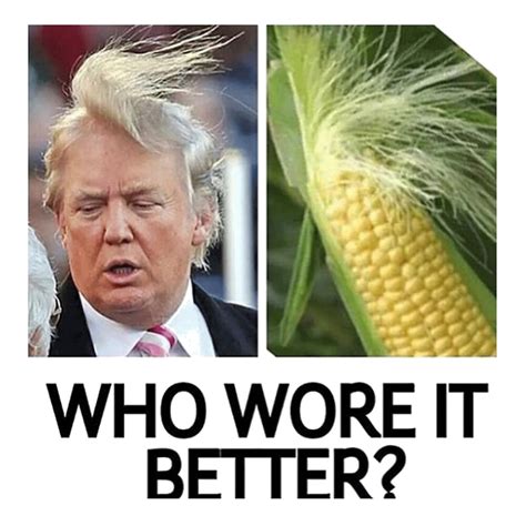 Trump S Hair Vs Corn - 2024 HairStyles Ideas