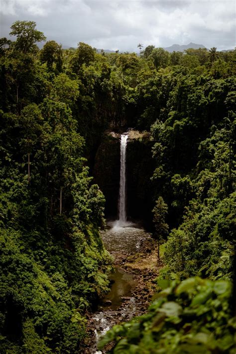 SummerWind Samoa - Book Now!