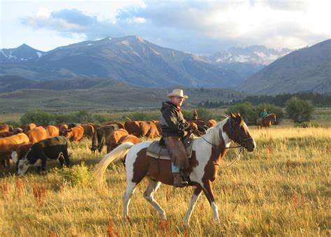 Discover the Cowboy in You This Year at a Working Cattle Ranch!