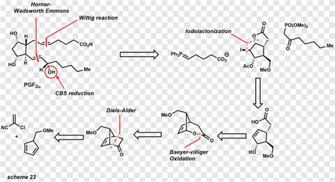 Retrosynthetic Analysis Chemical Synthesis Prostaglandin Organic