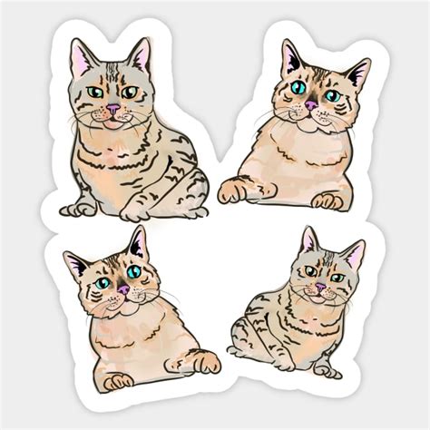 Bengal Cat Breed Pattern Cat Sticker TeePublic