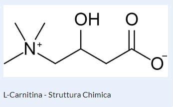 Carnitina Cosè e a Cosa Serve