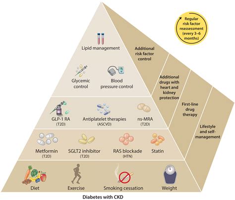 Kdigo 2022 Clinical Practice Guideline For Diabetes Management In