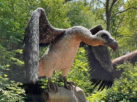 First look: Dino Don's 'Journey to the Ice Age' at the Zoo