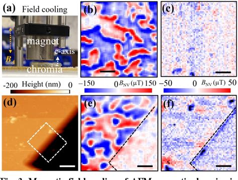 Figure From Imaging Boundary Magnetization Of Antiferromagnetic