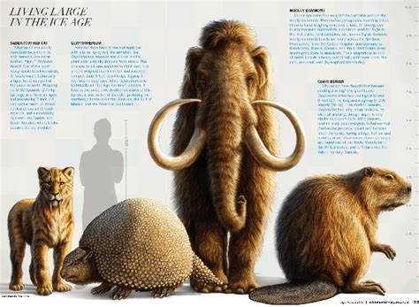 Real Ice Age Animals