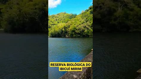 Reserva Biol Gica Do Ibicu Mirim Natureza Turismo Rural