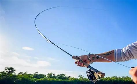 Best Fly Fishing Rods for Beginners - Fishing Lovers Guide