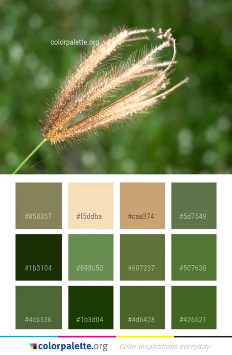 Vegetation Grass Family Color Palette | colorpalette.org