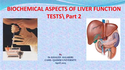 Liver Functions Tests 2 Ppt