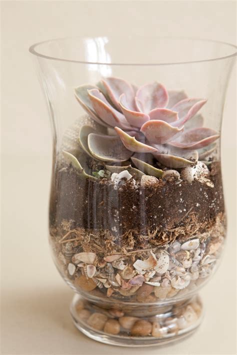 Learn How To Make Terrariums For Your Wedding