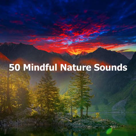 Mindful Nature Sounds Album By Nature Sounds Sons De La Nature