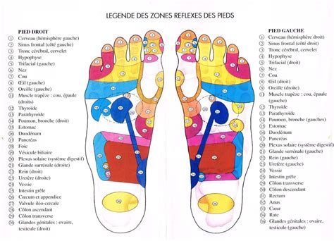 La Réflexologie Soigner Le Corps Par Les Pieds