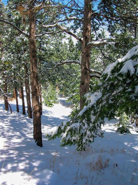 A Winter Landscape on Lookout Mountain Near Denver in Colorado Stock Image - Image of lookout ...