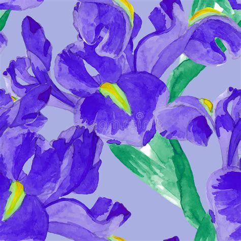 Watercolor Iris Flower Seamless Pattern Stock Vector Illustration Of