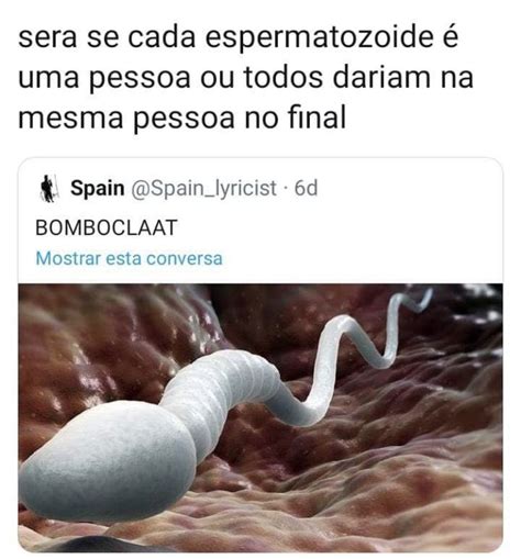 Pin de MONNY FERNNY em Memes Br Frases engraçadas para rir Memes