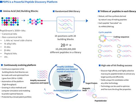 Proprietary Drug Discovery Platform System PDPS PEPTIDREAM INC ペプチド